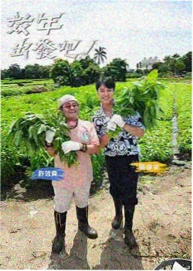 欧美在线看 龙之家族